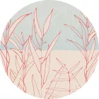 Komar / Dots