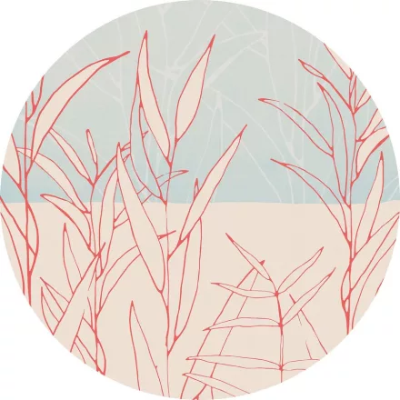 Komar / Dots