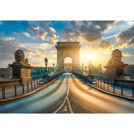 Wallvision / Poszter