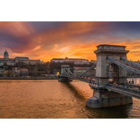 Wallvision / Poszter