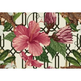 Wallvision / Poszter