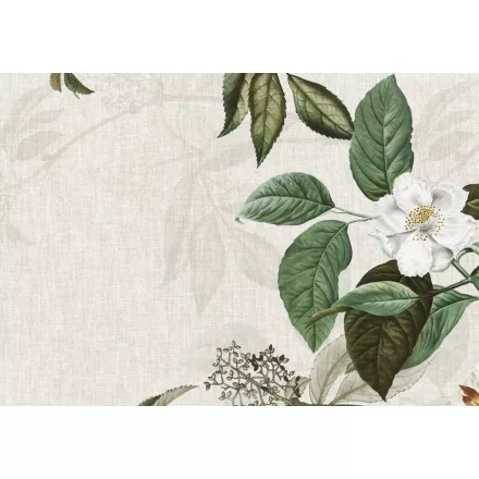 Wallvision / Poszter