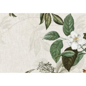 Wallvision / Poszter