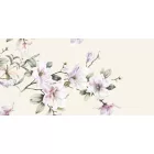 Wallvision / Poszter