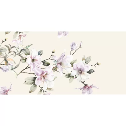 Wallvision / Poszter