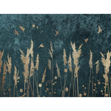 Wallvision / Poszter