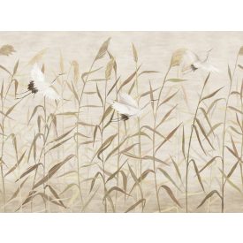 Wallvision / Poszter