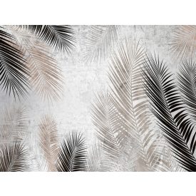 Wallvision / Poszter