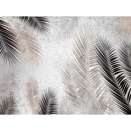 Wallvision / Poszter