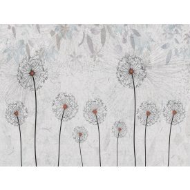 Wallvision / Poszter