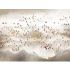 Wallvision / Poszter