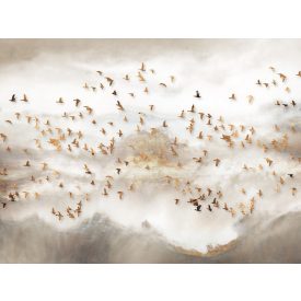 Wallvision / Poszter