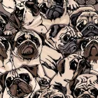 Wallvision / Poszter