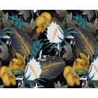 Wallvision / Poszter