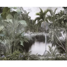 Wallvision / Poszter