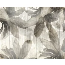 Wallvision / Poszter