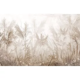 Wallvision / Poszter