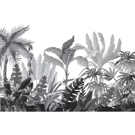 Wallvision / Poszter