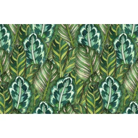 Wallvision / Poszter