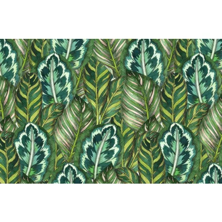 Wallvision / Poszter