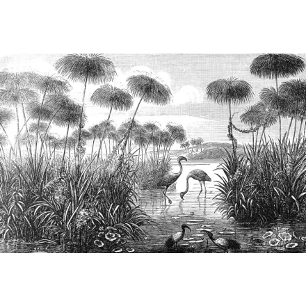 Wallvision / Poszter