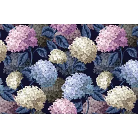 Wallvision / Poszter