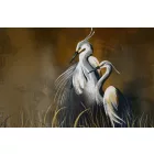 Wallvision / Poszter