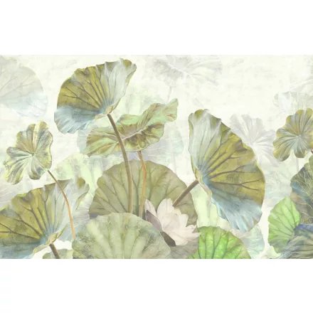 Wallvision / Poszter