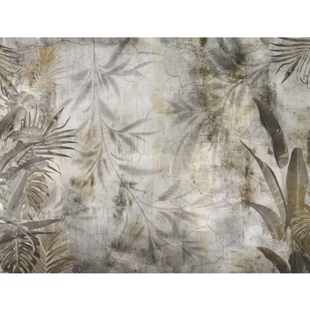 Wallvision / Poszter