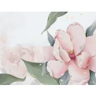 Wallvision / Poszter