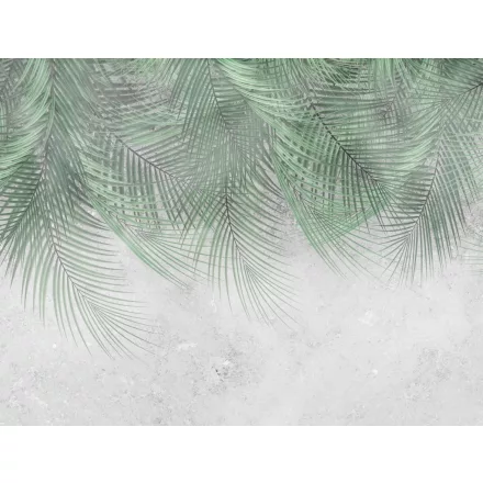 Wallvision / Poszter