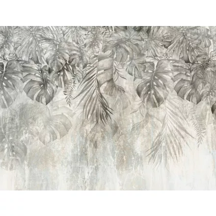 Wallvision / Poszter