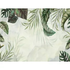 Wallvision / Poszter