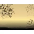 Wallvision / Poszter