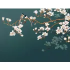 Wallvision / Poszter