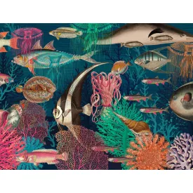 Wallvision / Poszter