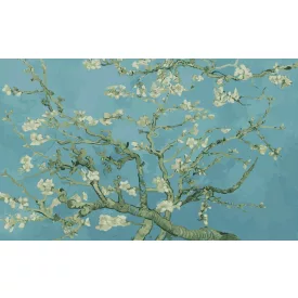 Wallvision / Poszter