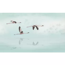 Wallvision / Poszter