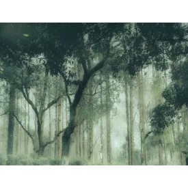 Wallvision / Poszter