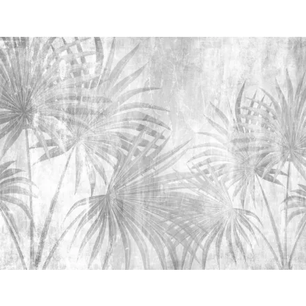 Wallvision / Poszter