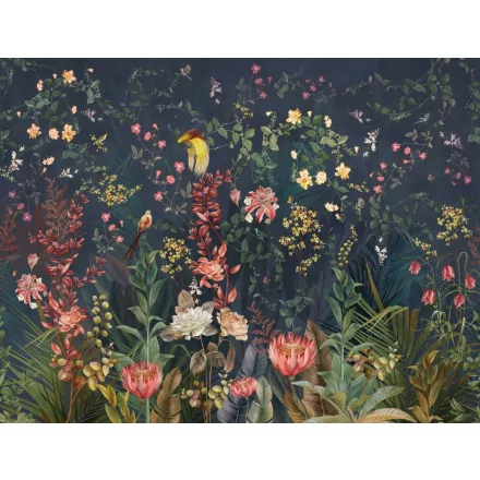 Wallvision / Poszter