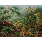 Wallvision / Poszter