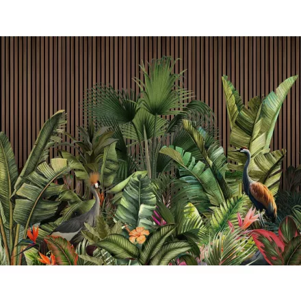 Wallvision / Poszter