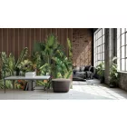 Wallvision / Poszter