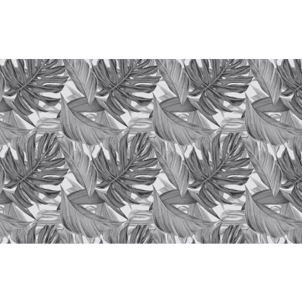 Wallvision / Poszter