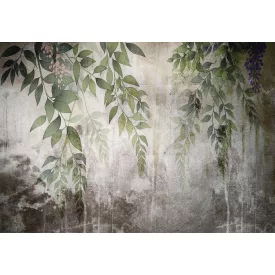 Wallvision / Poszter