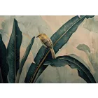 Wallvision / Poszter