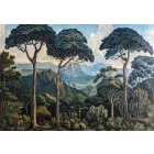 Wallvision / Poszter