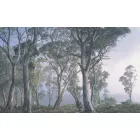 Wallvision / Poszter