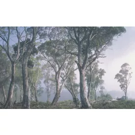 Wallvision / Poszter